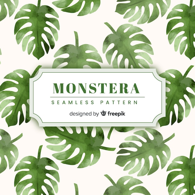 Download Monstera leaves Vector | Free Download