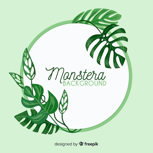 Monstera leaves Free Vector