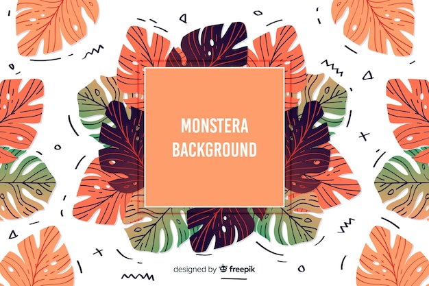 Download Monstera leaves | Free Vector