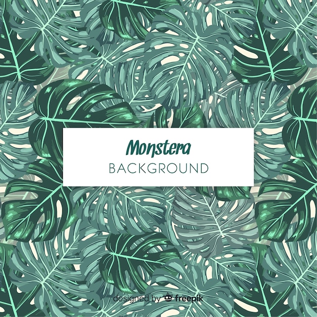 Download Free Vector | Monstera leaves