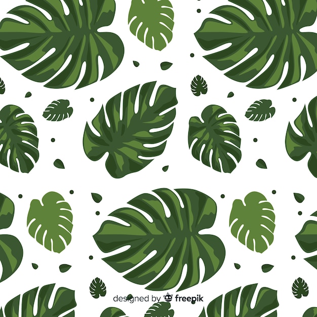 Monstera pattern | Free Vector