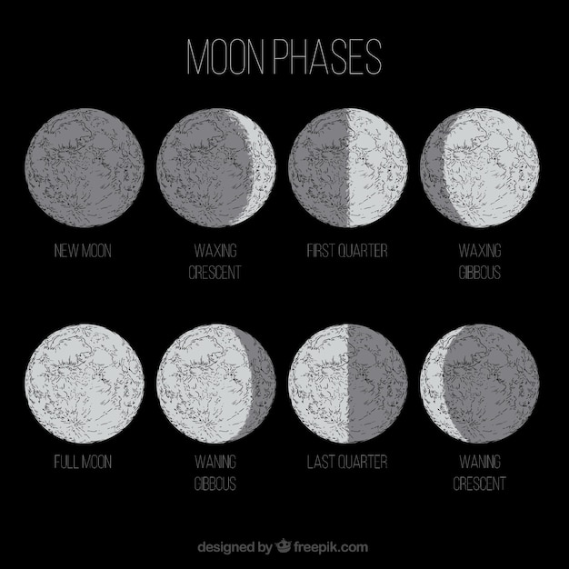 Moon in eight different phases | Free Vector