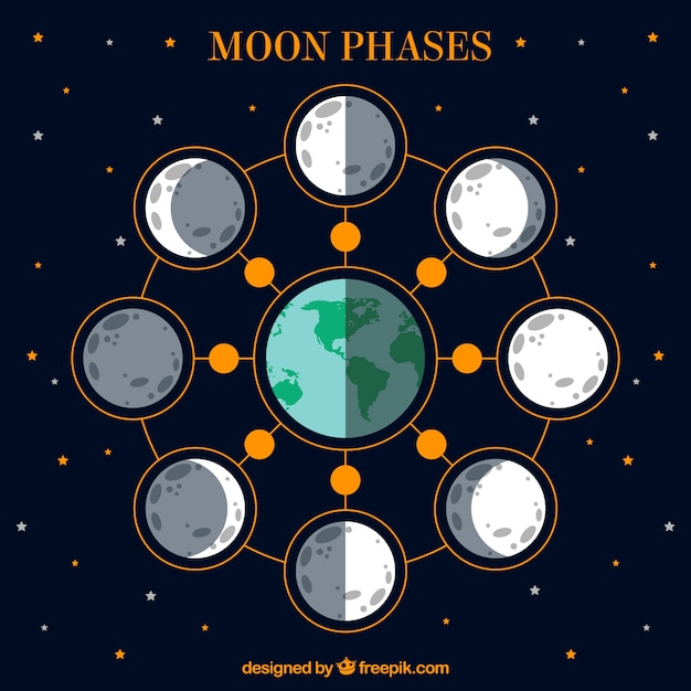 free-vector-moon-phase-calendar-in-flat-design