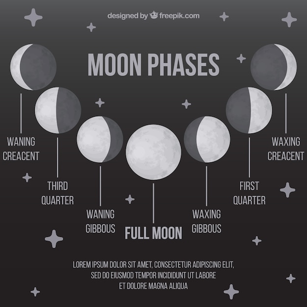 Free Vector | Moon phases with stars in gray tones