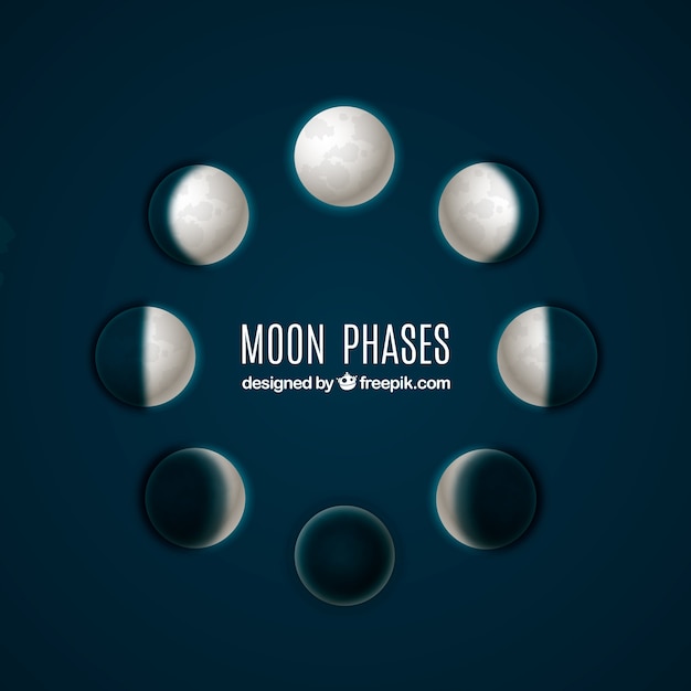 Moon Phases Vector | Free Download