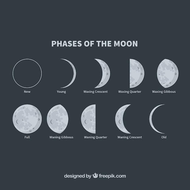 moom phase last night