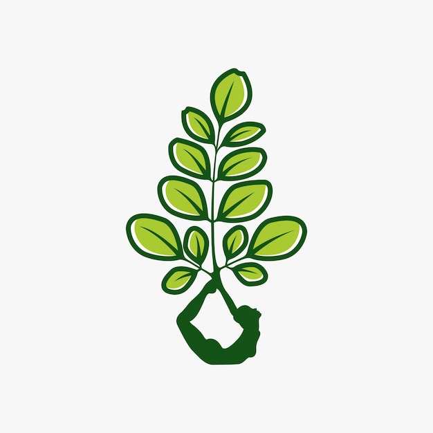 Premium Vector | Moringa logo design