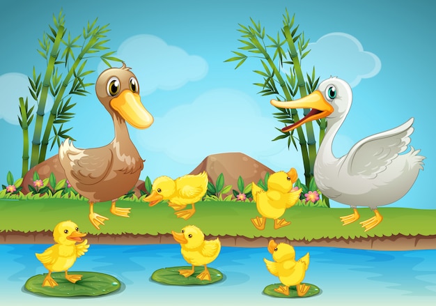 Premium Vector | Mother duck and ducklings at the river