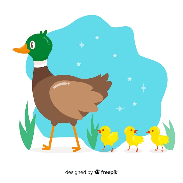 Download Mother duck leading her ducklings Vector | Free Download