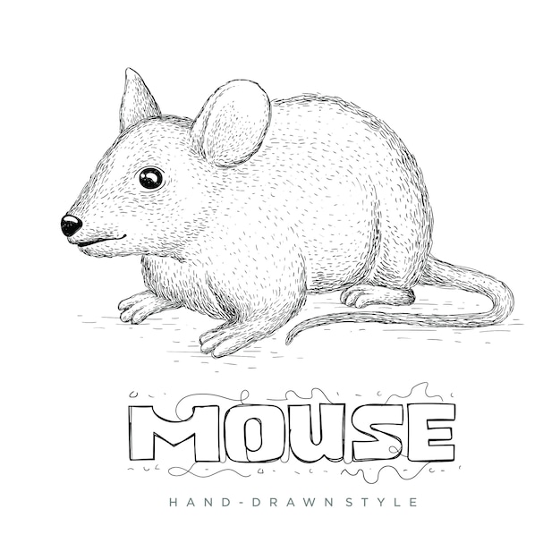 手でマウスベクトル描画スタイル リアルな動物イラスト プレミアムベクター