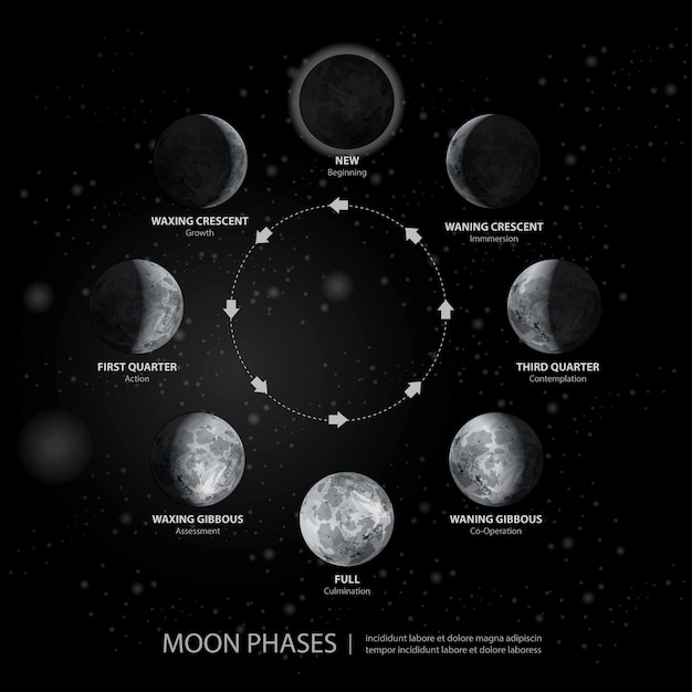 Premium Vector | Movements of the moon phases realistic vector illustration
