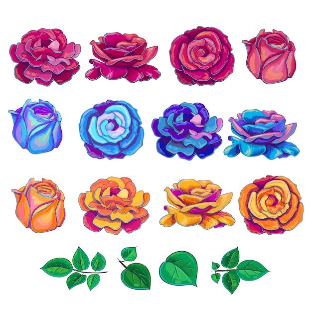 Multicolor roses collection