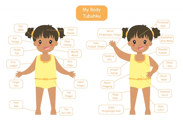 私の体の部分 の子供向けのバイリンガル語彙デザイン 黄色い下着姿でかわいいアフリカ系アメリカ人の女の子 プレミアムベクター