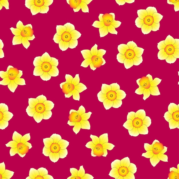 Download Narcissus flower on pink background | Premium Vector