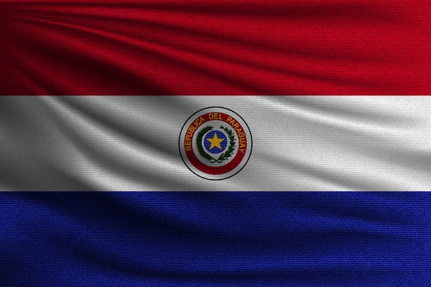 Premium Vector | The national flag of paraguay.