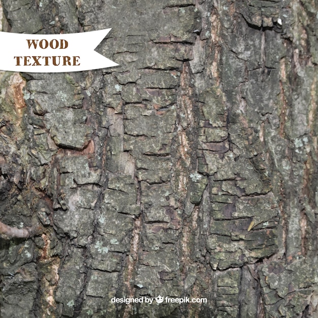 Natural wooden texture