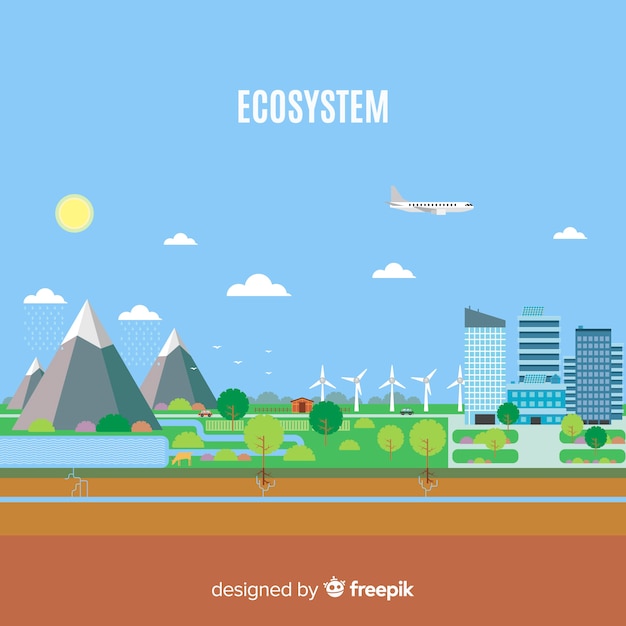 Nature and ecosystem concept