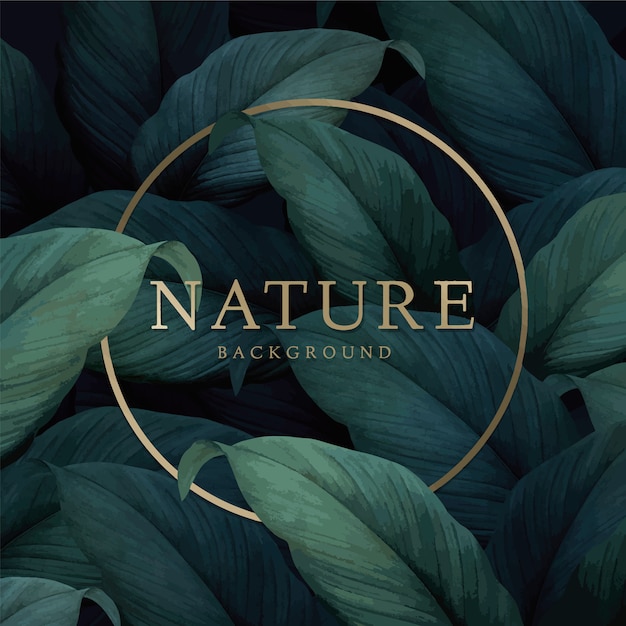 Nature background | Free Vector