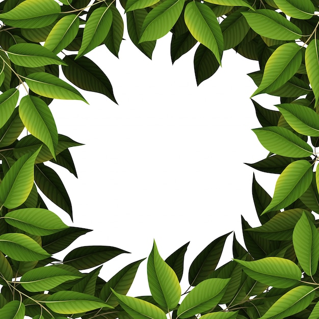 Download A nature leaf border Vector | Premium Download