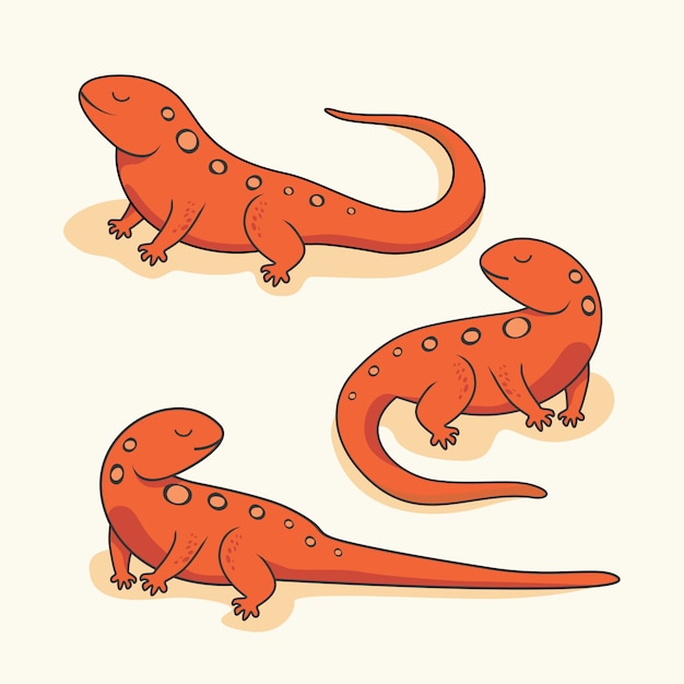 Premium Vector | Newt salamander cartoon amphibian reptile animals