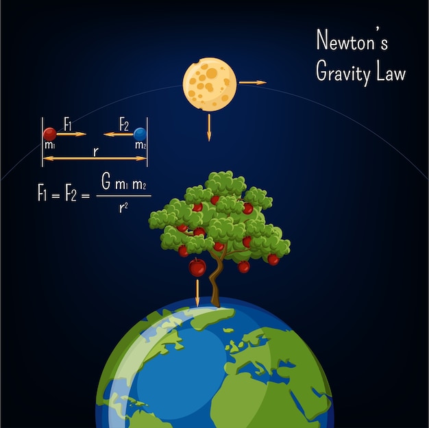 Premium Vector Newton's gravity law