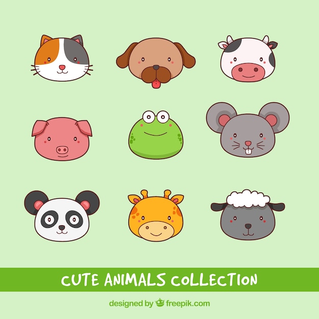 Nice faces of hand drawn animals
collection