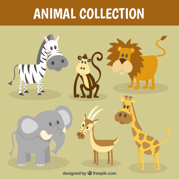 Nice wild animal collection