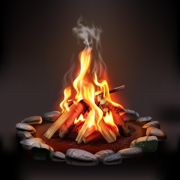 Night composition with burning campfire illustration Free Vector