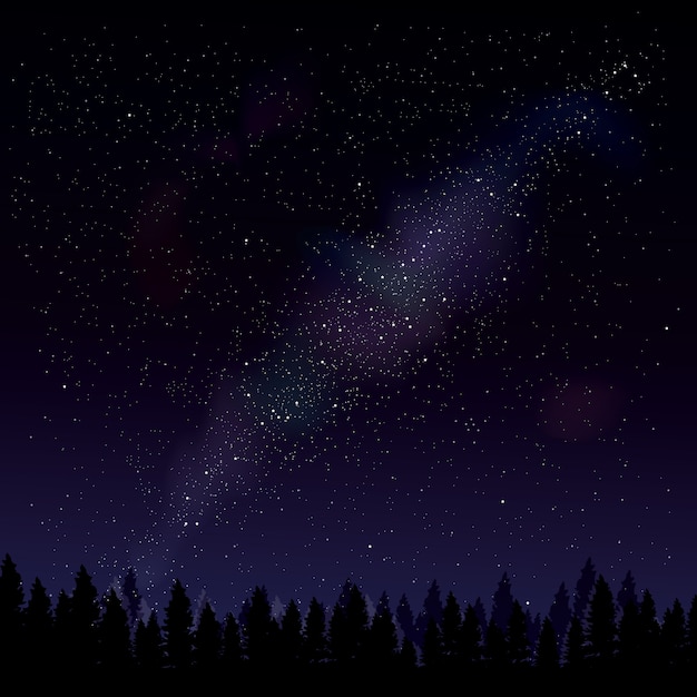 Premium Vector Night Forest On Dark Starry Background Trees Silhouettes On The Star Night Background Night Forest