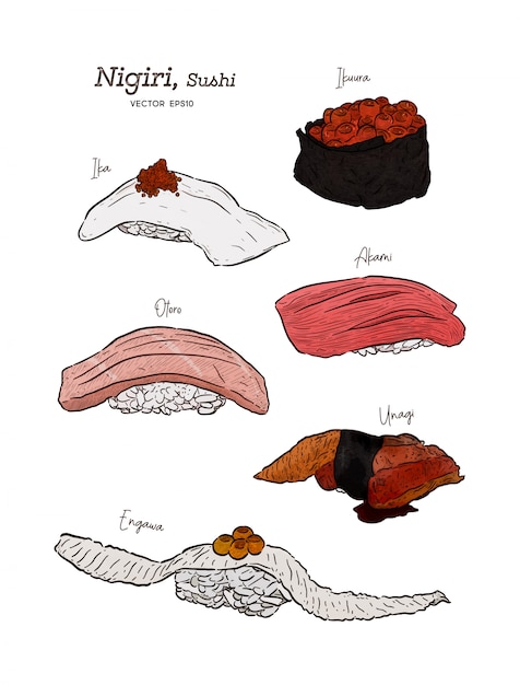Nigiri set, ika, ikura, akami, otoro, unagi and engawa. hand draw sketch vector. Premium Vector