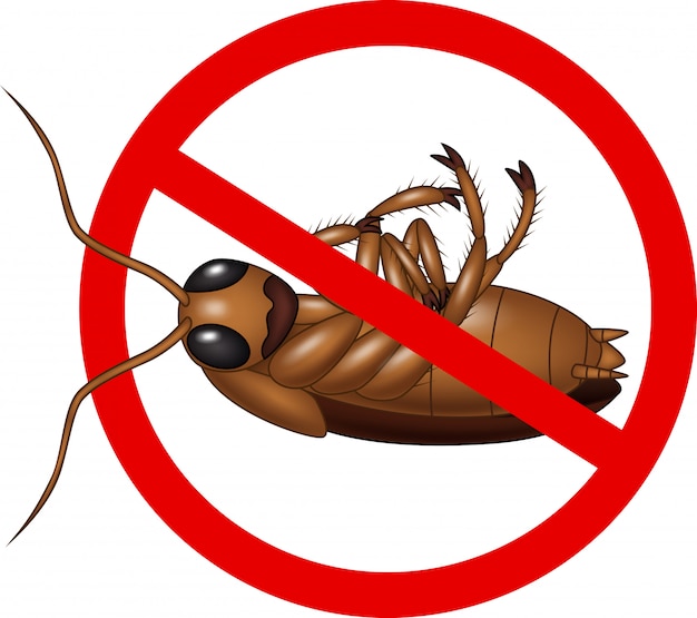 Premium Vector No More Cockroach Icon 5362