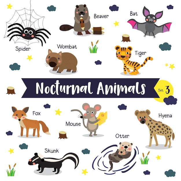 Nocturnal animal cartoon with animal name | Premium Vector