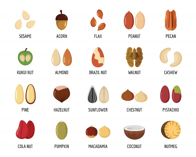 Types Of Nuts Chart