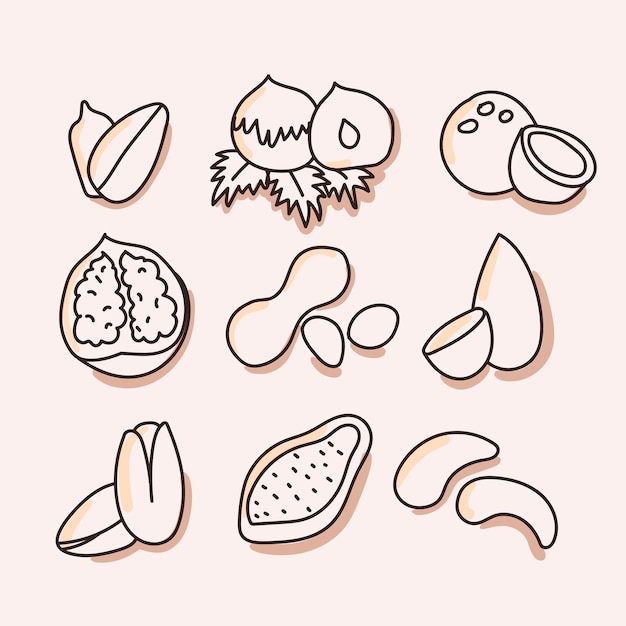 Premium Vector Nuts Dried Fruits Set Of Icon Hand Draw