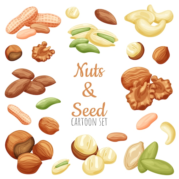 Premium Vector | Nuts and seeds cartoon illustration set, various nuts