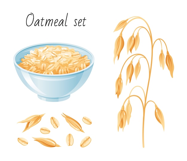 Premium Vector | Oat meal set. bowl, oatmeal ear flake. breakfast cup