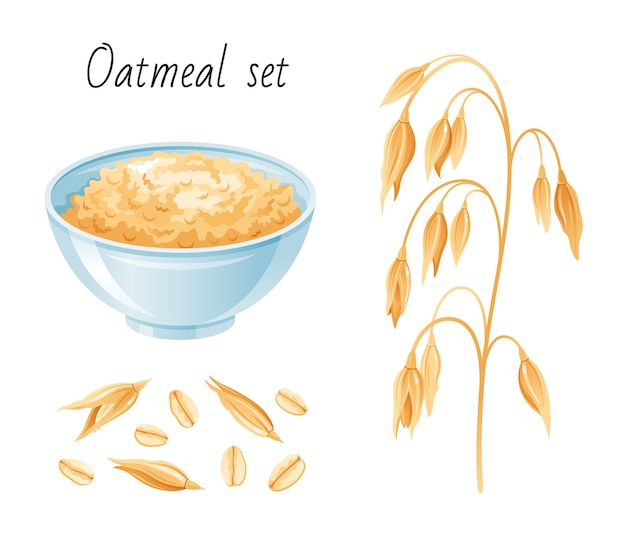 Premium Vector Oat Meal Set Bowl Oatmeal Ear Flake Breakfast Cup