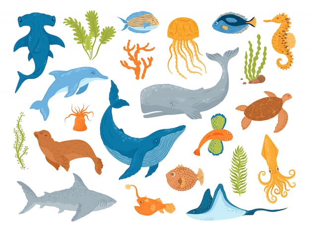 海と海の動物と魚 イラストのセット 海洋海の水中の生き物や哺乳類 クジラ サメ イルカ クラゲ カメ タツノオトシゴ 水族館の海の動物 プレミアムベクター