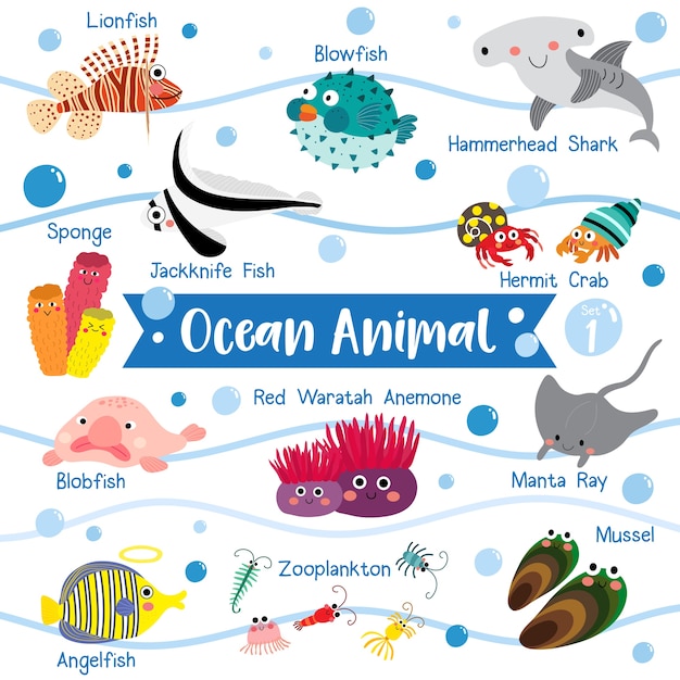 Ocean animal cartoon with animal name | Premium Vector