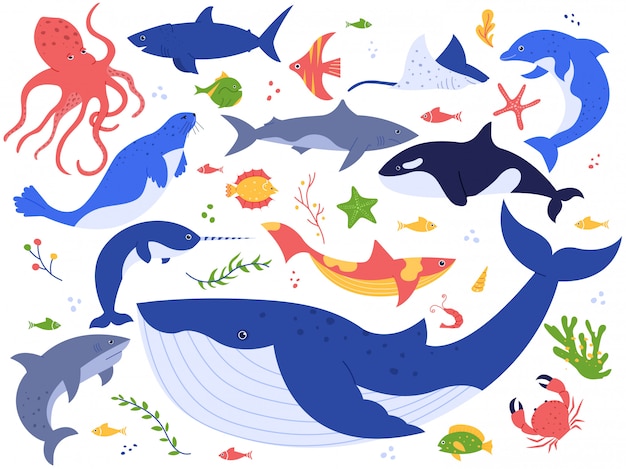 海の動物 かわいい魚 シャチ サメとシロナガスクジラ 海洋動物 海の生き物イラストセット 海底の世界パック 海藻 藻類 水生植物のクリップアートコレクション プレミアムベクター