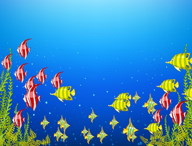 Premium Vector | Ocean underwater world