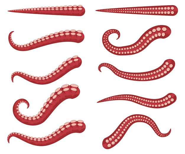 Octopus tentacles vector cartoon set isolated Vector | Premium Download
