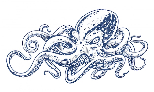 Premium Vector | Octopus vintage engraving style vector illustration of ...