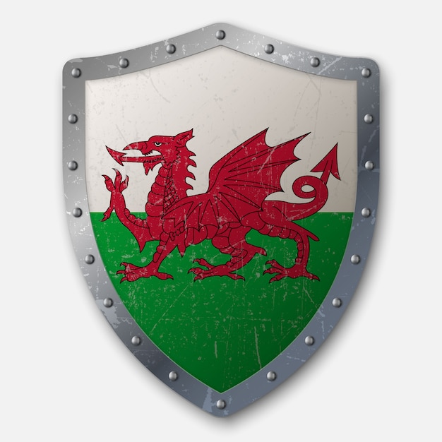 Download Old shield with flag of wales Vector | Premium Download
