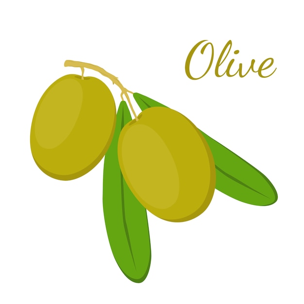 Download Free Olive Branch Olives Cosmetics Medical Plant Natural Vegetarian Use our free logo maker to create a logo and build your brand. Put your logo on business cards, promotional products, or your website for brand visibility.