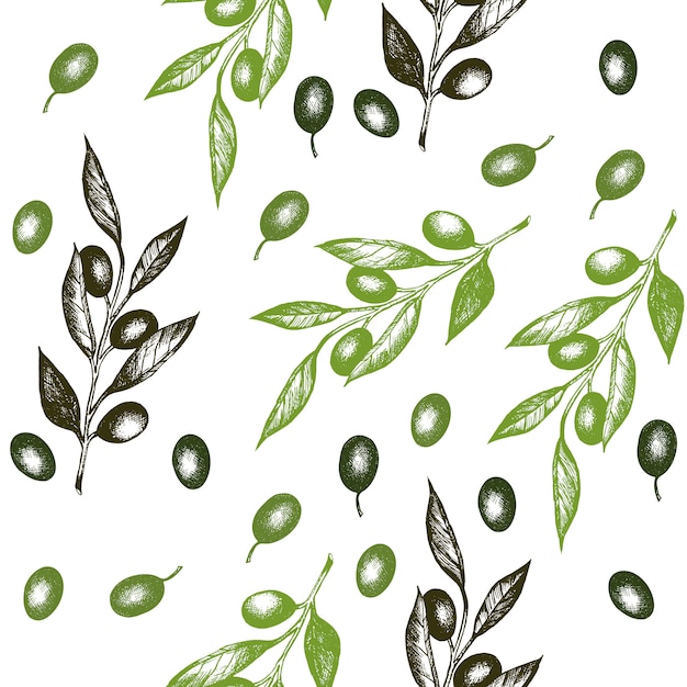 Olive branch seamless pattern vector | Premium Vector