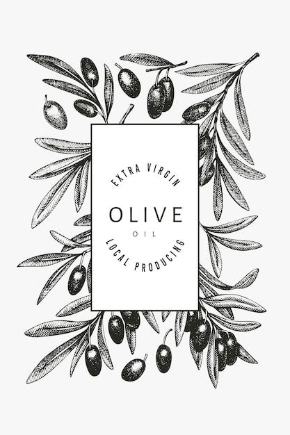 オリーブブランチテンプレート 手描きの食べ物イラスト 刻まれたスタイルの地中海の植物 レトロな植物の写真 プレミアムベクター