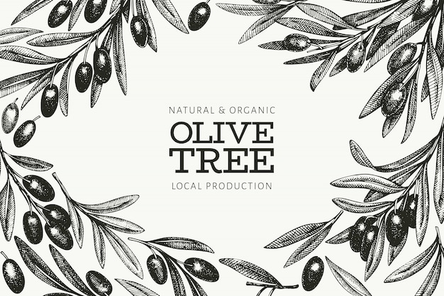 premium-vector-olive-branch-template