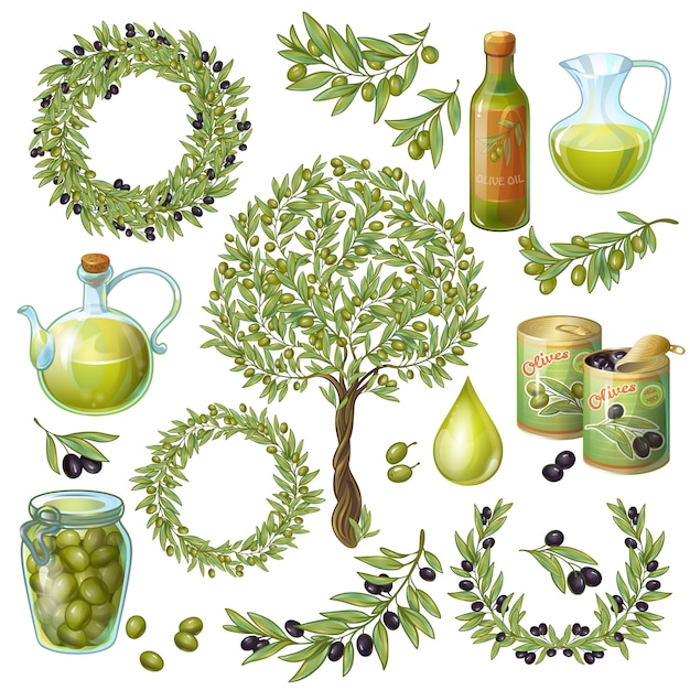 Olive organic elements set Free Vector