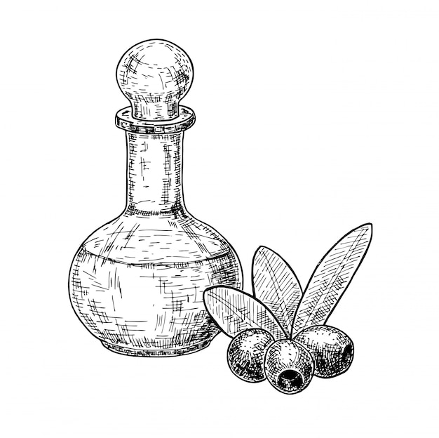 プレミアムベクター オリーブフルーツとオリーブオイルのボトルスケッチセット 手が白い背景のイラストを描いた